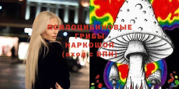 гидропоника Алзамай