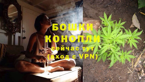 дживик Кинешма
